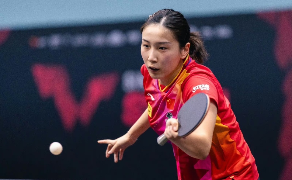 雷火电竞简介-法国队碾压韩国队，马琳惊艳四座的简单介绍