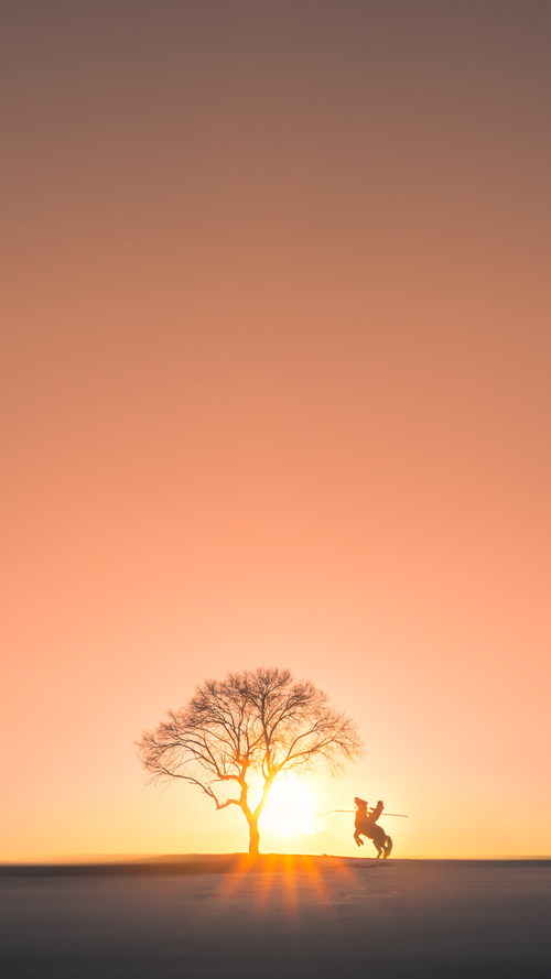 当东决遇见西部法则，浓眉的镜像压制级演出