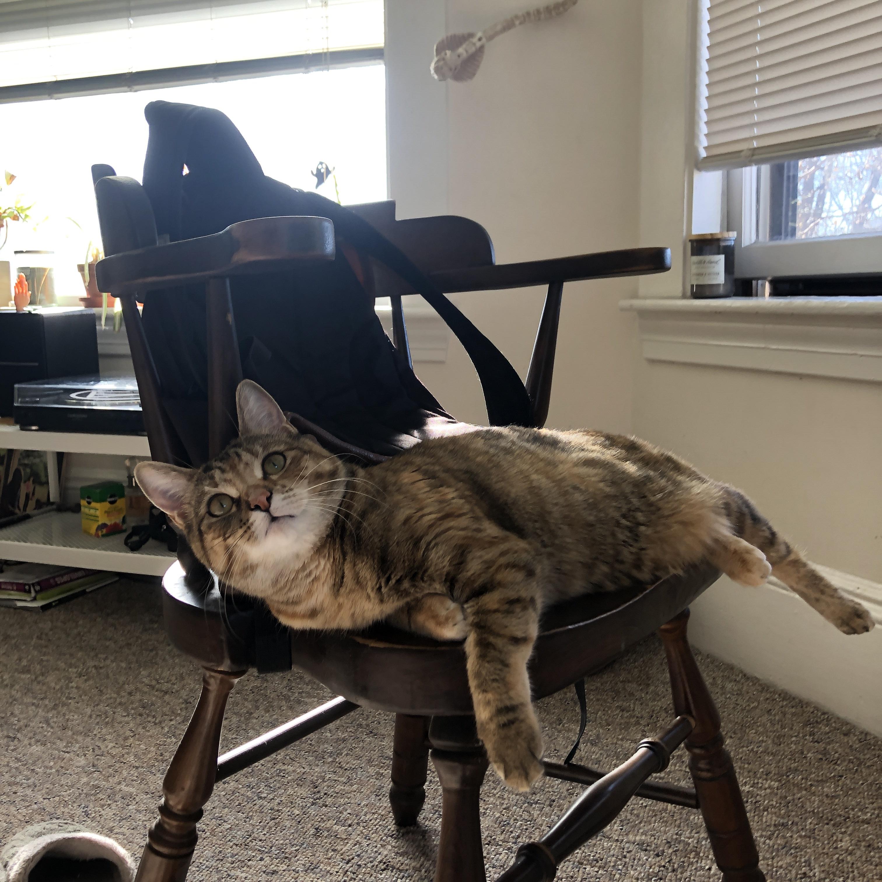 雷火电竞app-燃烧的方程式，世界排名争夺战之夜的物理法则