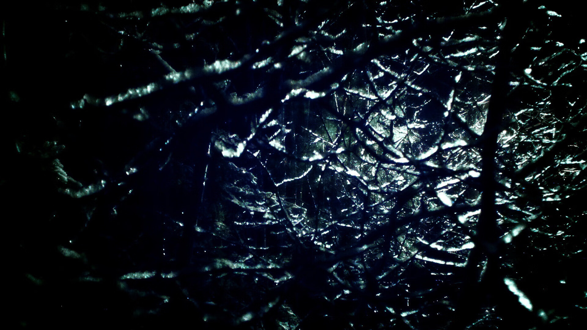 风城火焰，当小贾伦的星火点燃麦迪逊的冰川