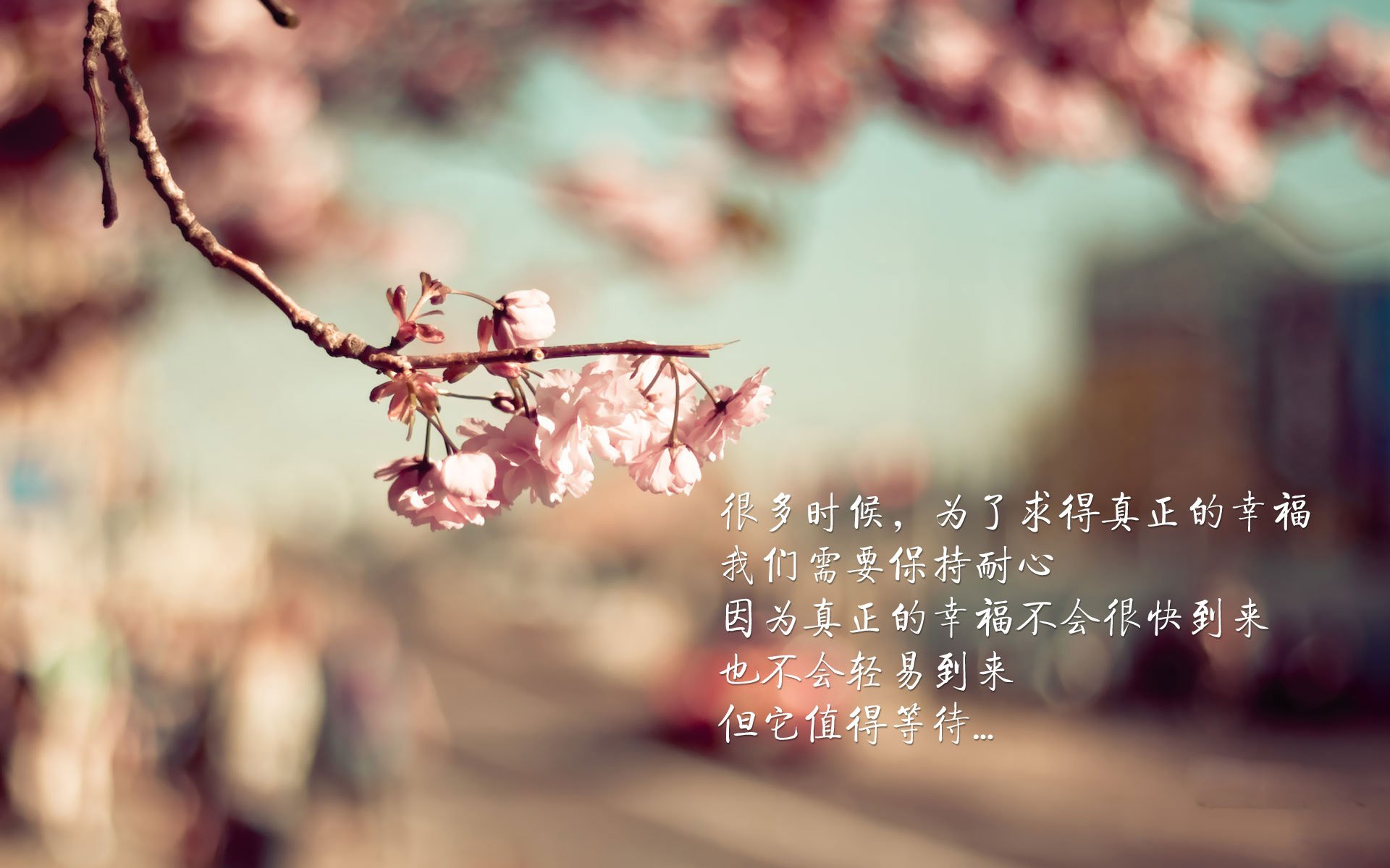 绿茵场上的双面镜,当西甲德比遭遇国际米兰式碾压