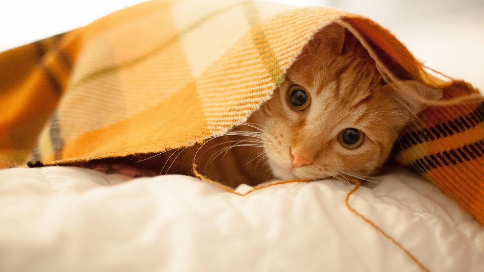 雷火电竞入驻-决胜时刻，从NBA总决赛到国际谈判桌上的领导力博弈