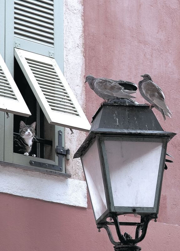 北欧寒刀精准收割美洲明珠,内马尔如何成为瑞典足球破局的关键先生