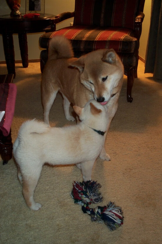 贝恩的无声交响乐,当节奏成为唯一统治者