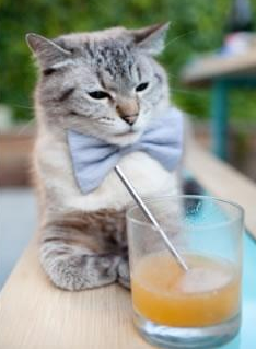 莫兰特突破，火箭绝境重生