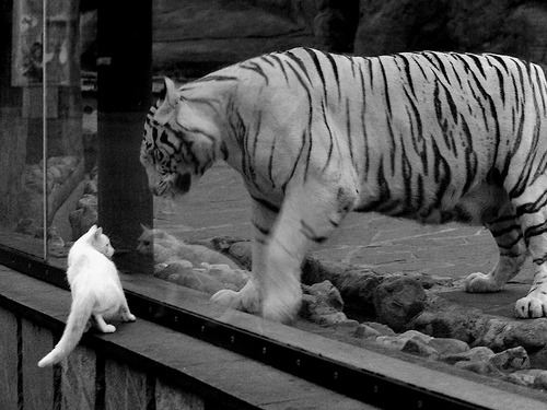 特奥数据封神之战!埃及对阵马里,他如何打出统治级表现?