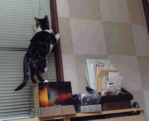 西决生死战之夜，利拉德刷新纪录，一束刺破沉船桅杆的孤光