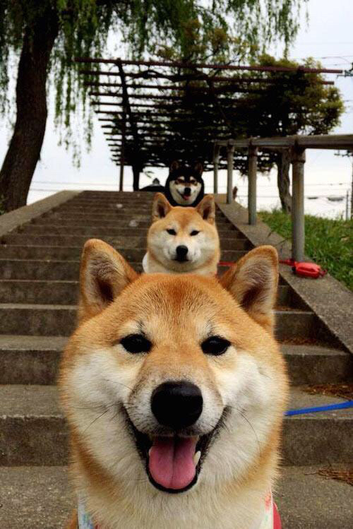 压哨枪响前，他按下了终场哨，阿尔瓦雷斯那一夜让悬念死于黎明之前