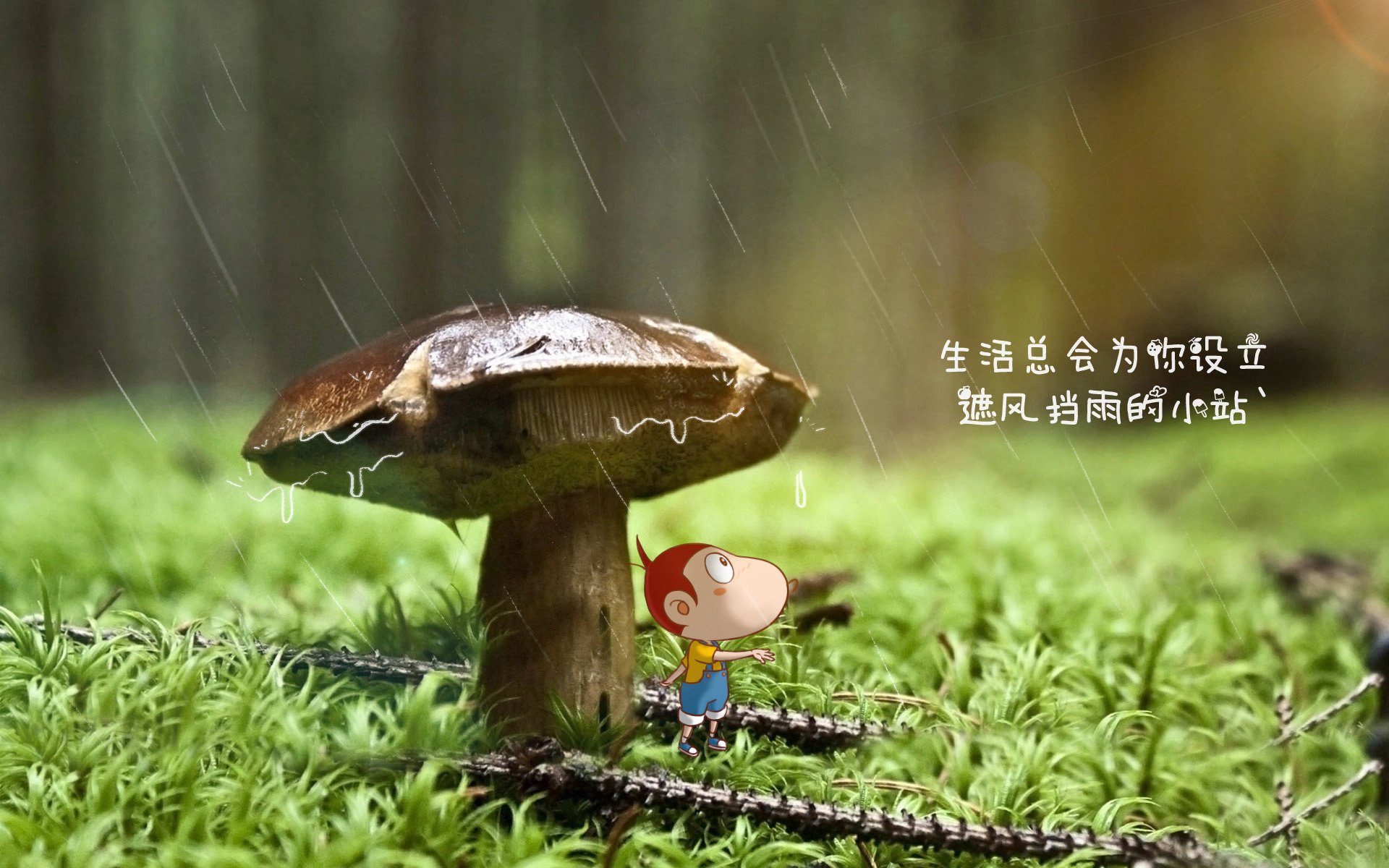 太阳单节烈焰焚熊，欧文驾F1驭风，同一片天空下的两种统治