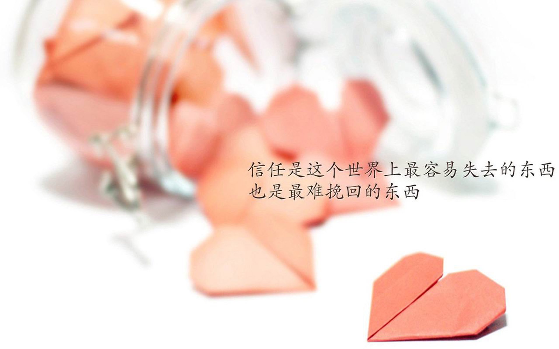 唯一性,哈基米的边路风暴与2026世界杯E组最微妙的平衡