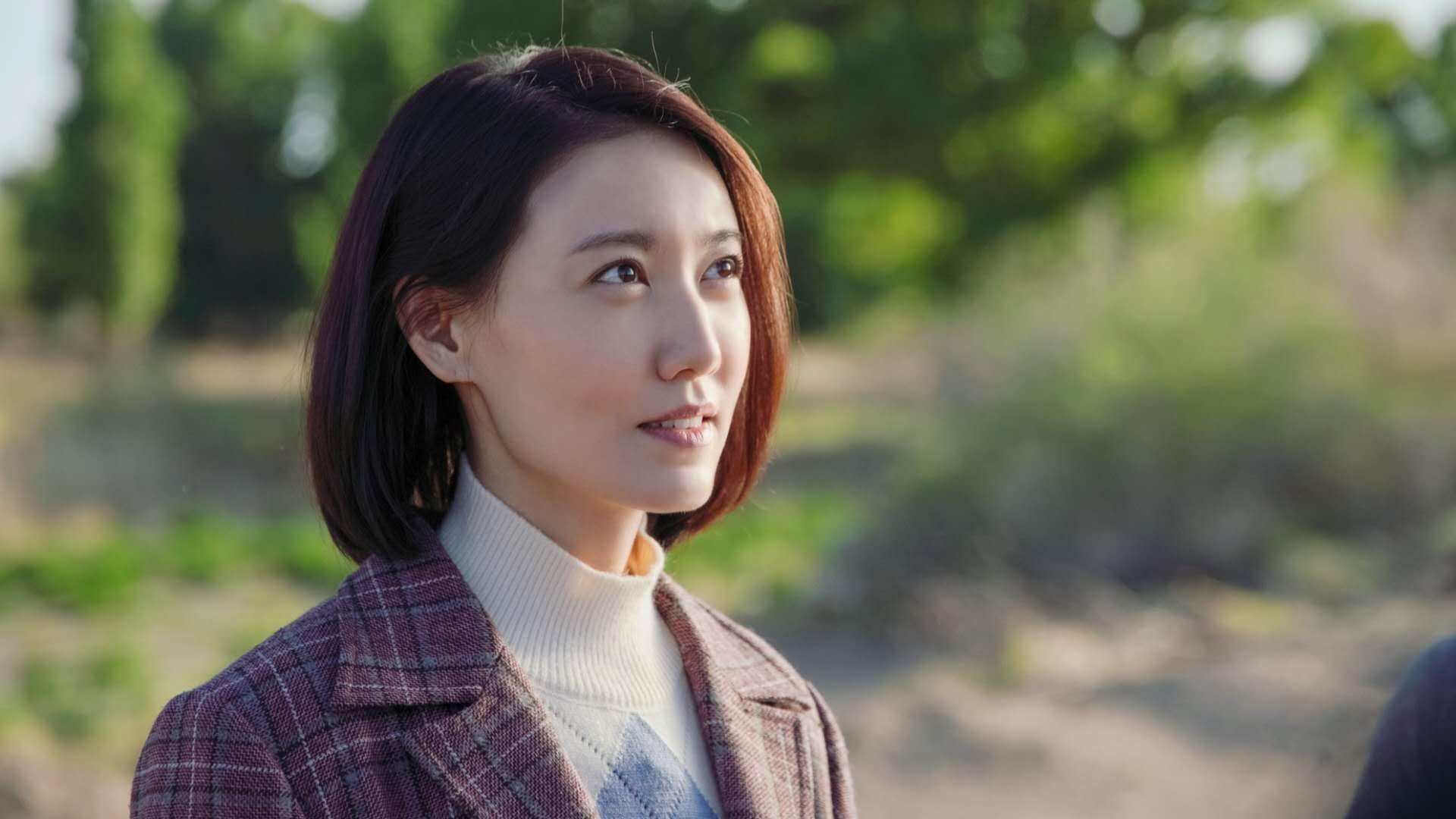 波斯铁骑的智慧胜利,2026世界杯巅峰对决,伊朗防守反击击碎波兰,布罗佐维奇孤掌难鸣